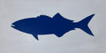 Bluefish