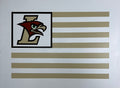 Lehigh University 18" x 24"