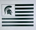 Michigan State Flag 18" x 24"
