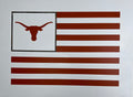 University of Texas 18" x 24"