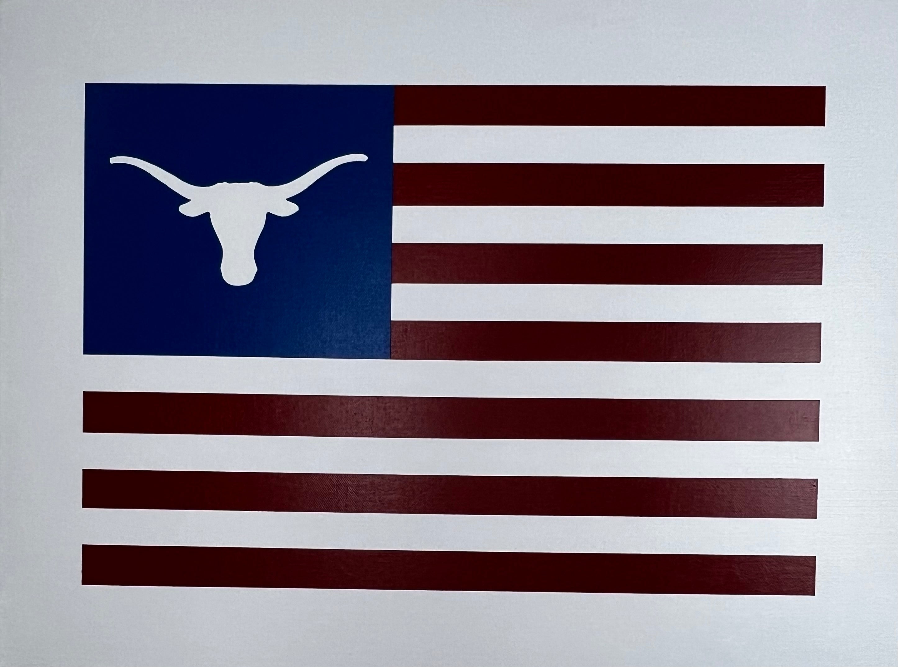 University of Texas 18" x 24"