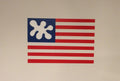 Splat!Flag  24" x 30"